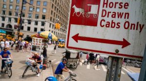 Prohibición de carruajes de caballos en Nueva York: qué dice la Ley Romanch y cómo será la transición