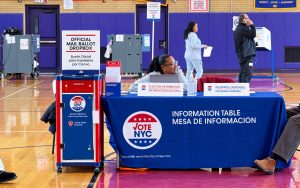 Nueva York y el Futuro del Congreso en Estados Unidos